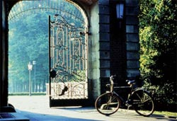 Learn German in Muenster