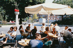 German courses in Münster