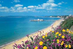 English course in Bournemouth