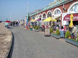 Learn English in Brighton