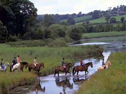 Language schools in Ireland