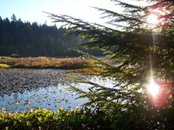 Sprachaufenthalt Vancouver