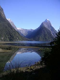 Learn English in New Zealand