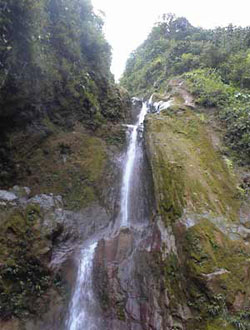 Learn French in Guadeloupe
