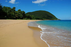 French Courses Guadeloupe
