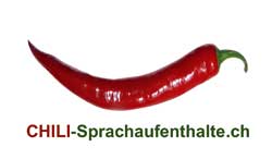 Sprachaufenthalt