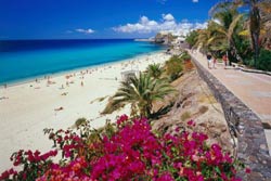Sprachschulen in Spanien - Kanarische Inseln
