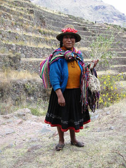 Language Schools Peru